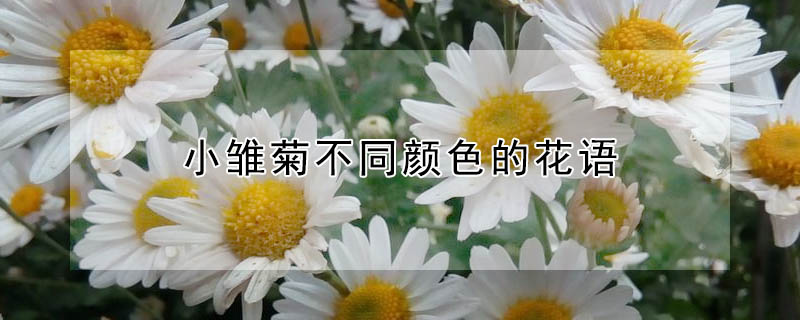 СղͬɫĻͬɫСʲôԢ⣿