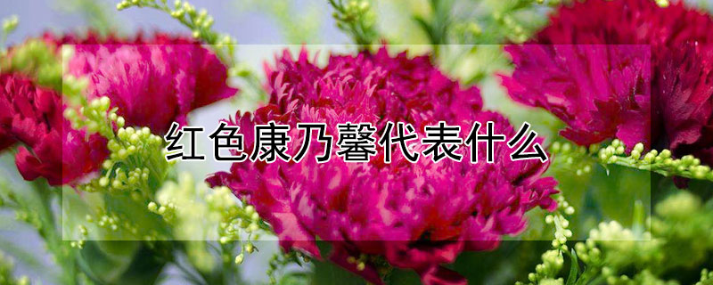 ɫܰʲôɫܰʲô壿