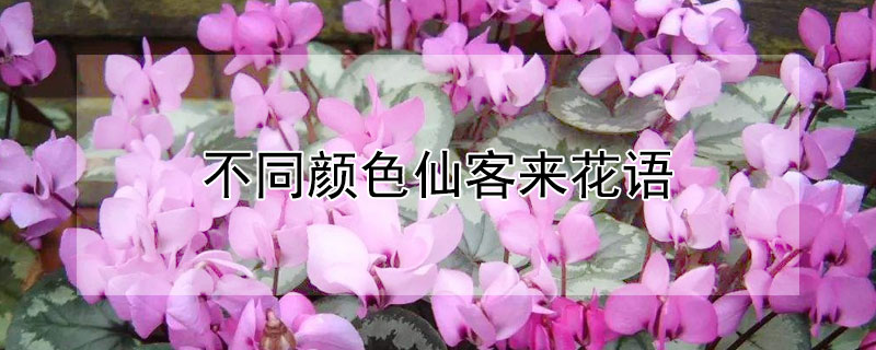 ͬɫɿɫɿԢ⣩
