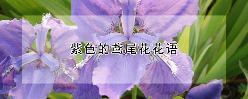 ɫβĻɫβʲôԢ⣩