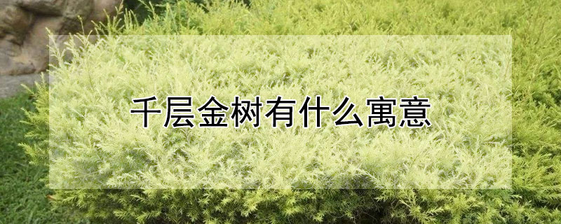 ǧʲôԢ⣿