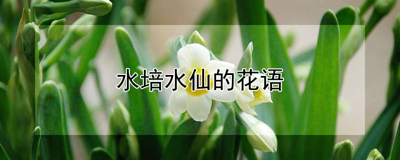 ˮˮɵĻˮˮʲô