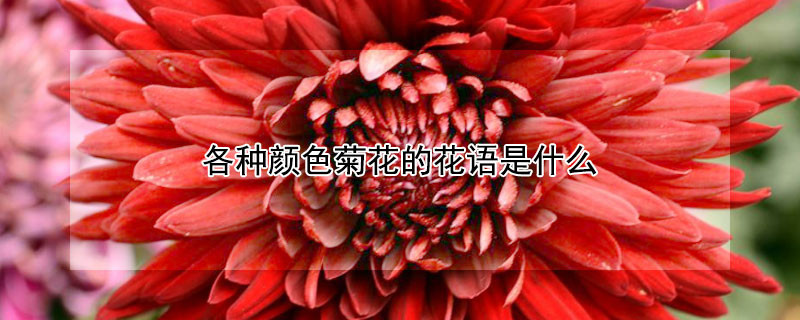 ɫջĻʲôɫջЩ壩