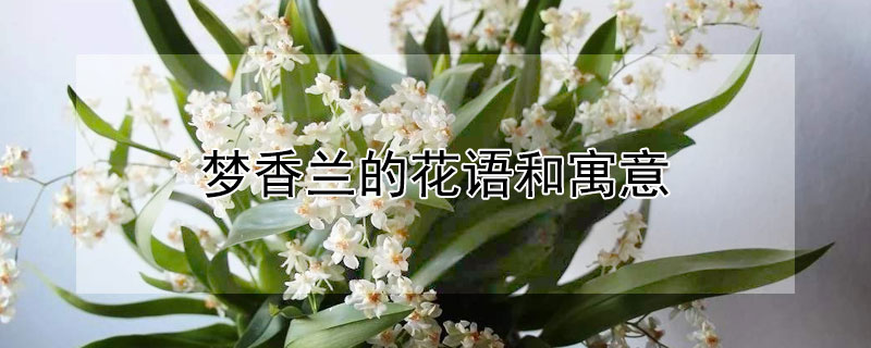 ĻԢʲô