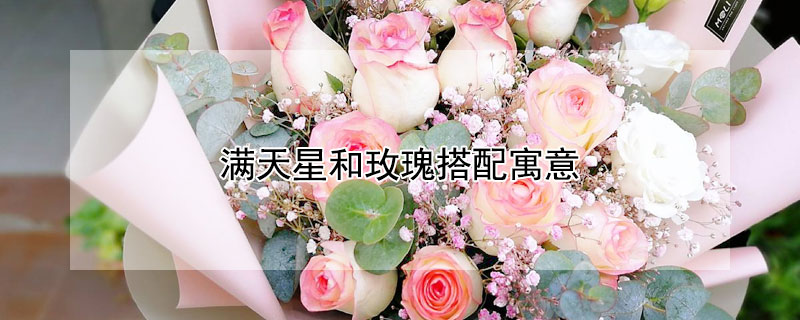 ǺõʲôԢ⣿