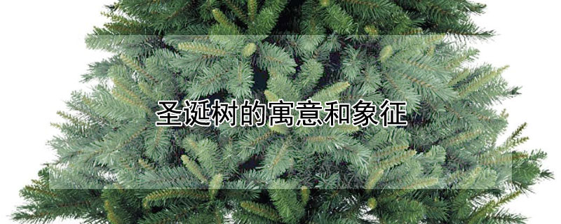 ʥԢʥЩ壩