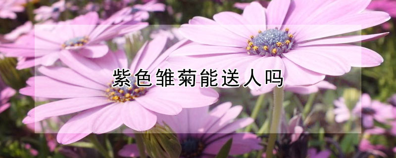 ɫʲôԢ⣿