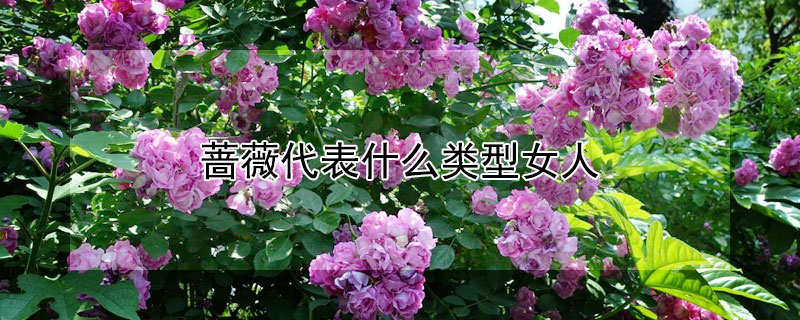 ǾޱʲôŮˣǾޱЩ͵ŮˣԢʲô