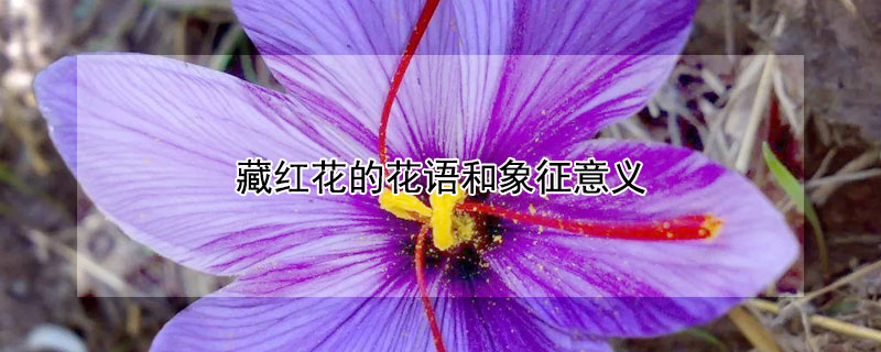 غ컨Ļ壨غ컨Щ