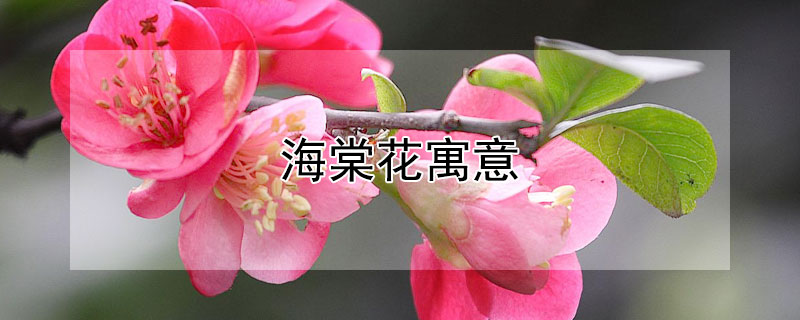 ĻԢʲôĻĻʲô壿