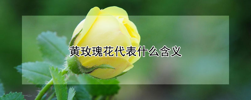 õ廨ֺ壿ʺ͸ʲôˣ