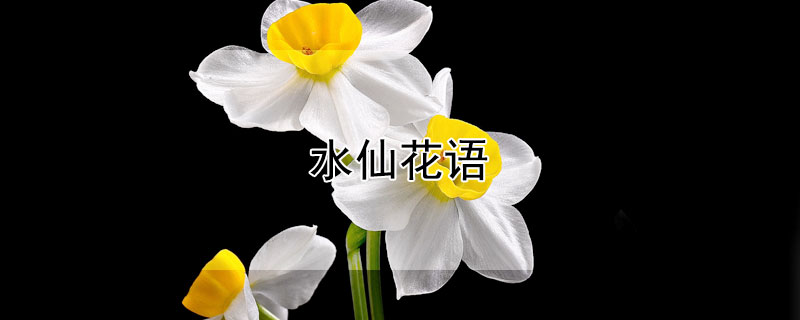 ˮɻʲô˼ˮЩ壿