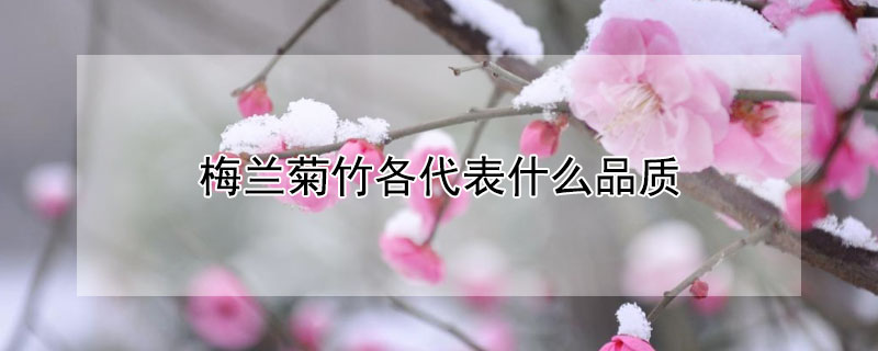 ÷ʲôƷ壿