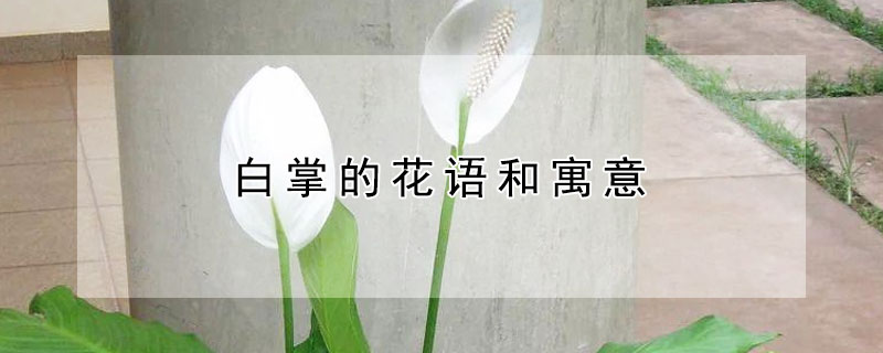 ƵĻʲôʲôԢ⣿