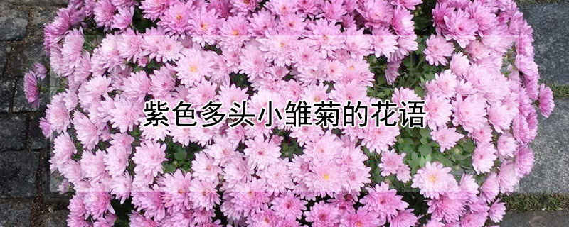 ɫͷСյĻʲôɫͷСЩ壿