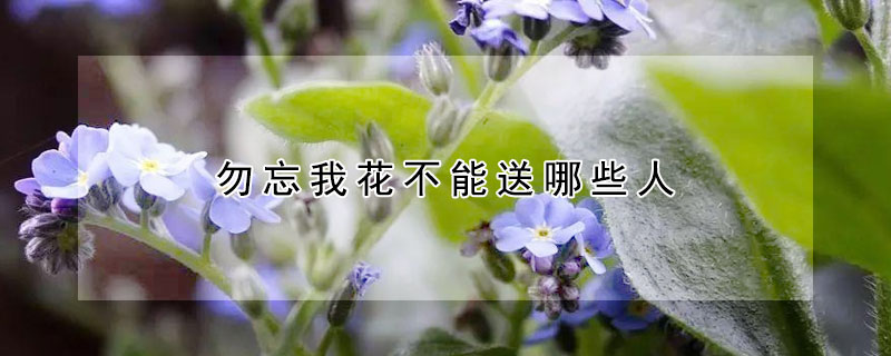 һЩˣʺЩˣ