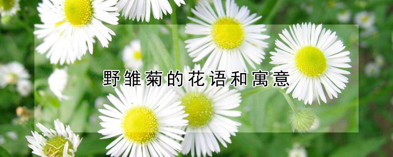 ҰյĻԢ⣨Ұյĺ壩