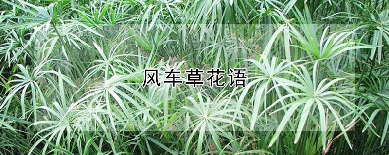 糵ݻ糵ʲôԢ⣩