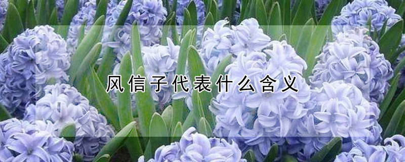 Ӵʲô壨Щ壩