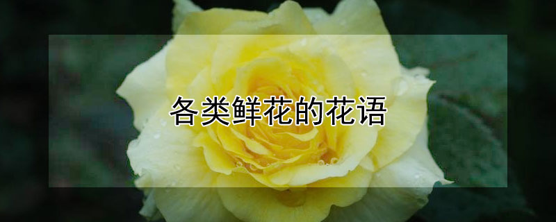 ʻĻʻЩ壩