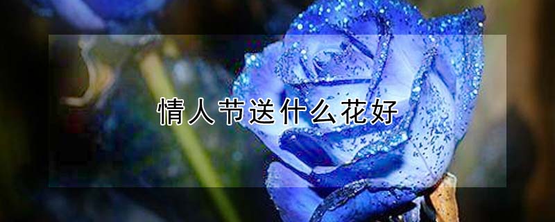 ˽ʲôã˽ڿЩ