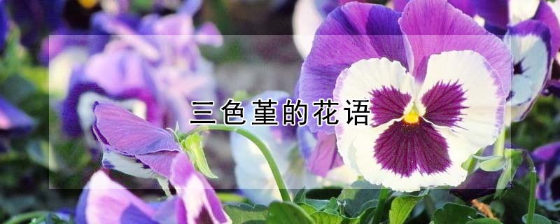 ɫĻɫʲôԢ⣩