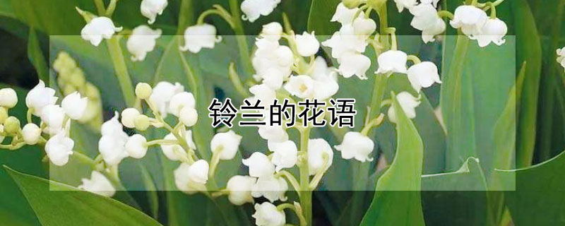 ĻЩ壩