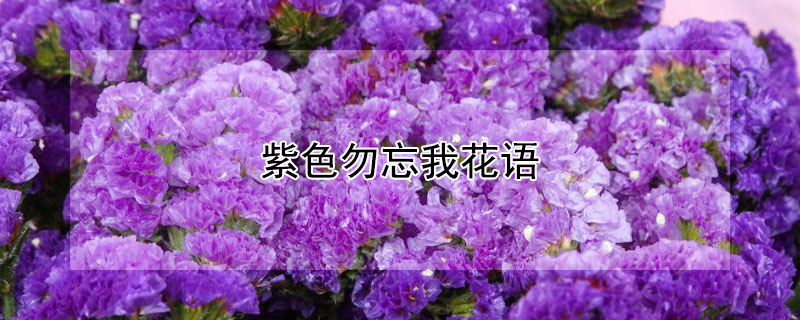 ɫҵĻɫЩ壩