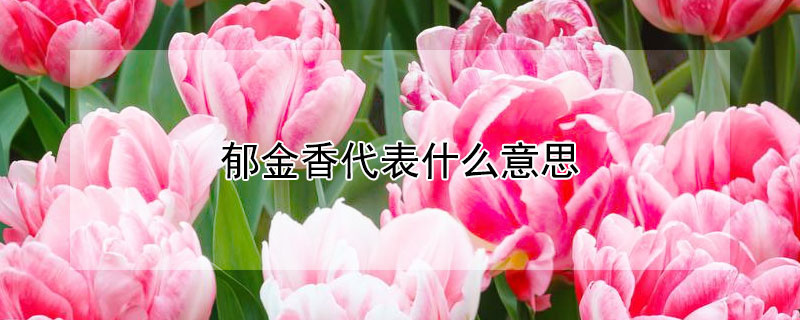 ʲô˼Щ壩