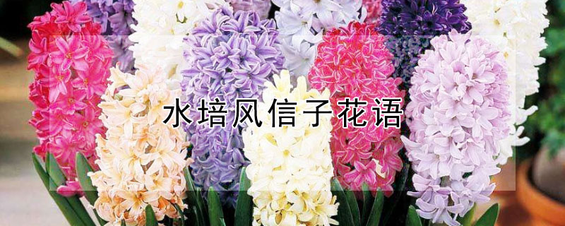 ˮӵĻˮЩ壩