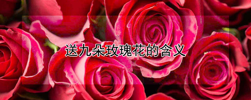 ;Ŷõ廨ĺ壨;ŶõʲôԢ⣩