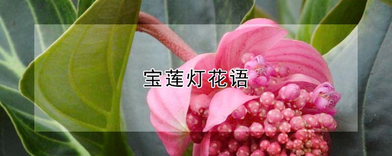 ƵĻﺬʲôʲôԢ⣿
