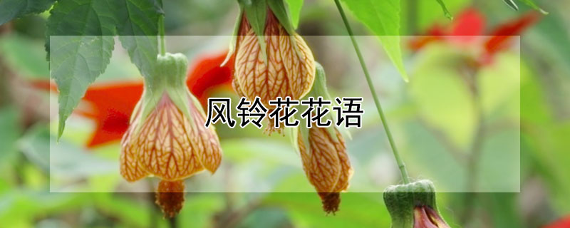 廨Ļ廨ЩԢ⣩