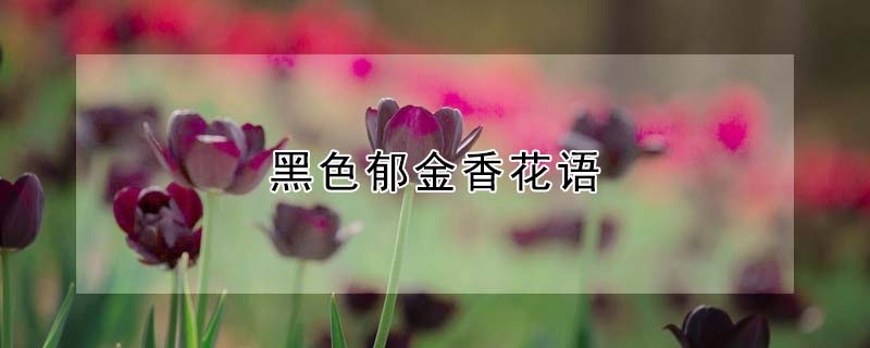 ɫĻɫʲôԢ⣩
