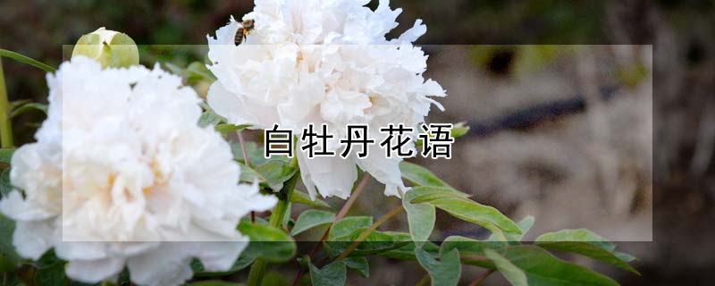 ĵĻʲôĵʲô壿