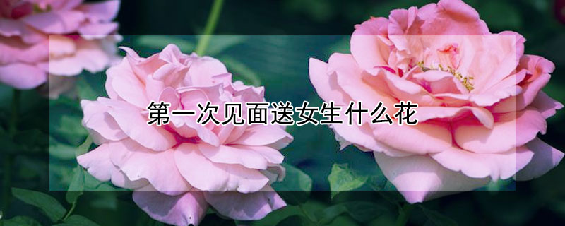 һμʺŮЩ䣿
