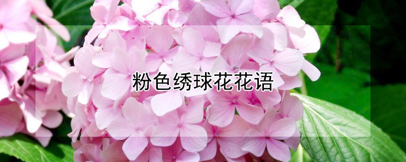 ɫ򻨻ɫЩԢ⣩