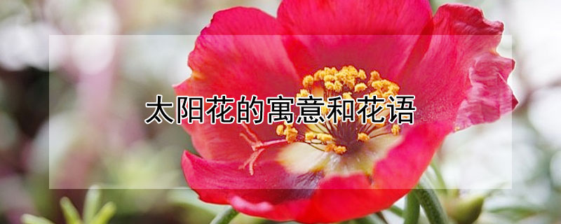 ̫Ԣͻ̫Щ壩
