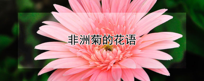 ޾յĻ޾ЩԢ⣩