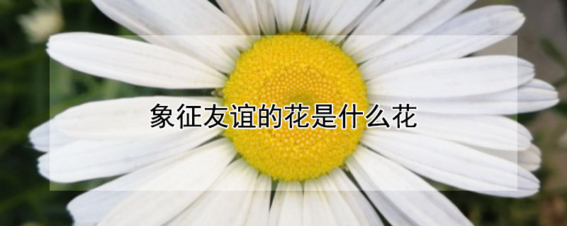 ĻʲôĻЩ