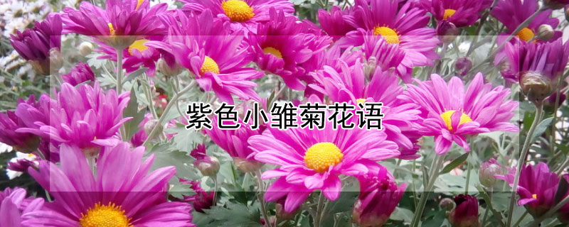 ɫСջɫСյԢ