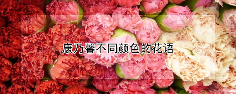 ܰͬɫĻܰͬɫԢ