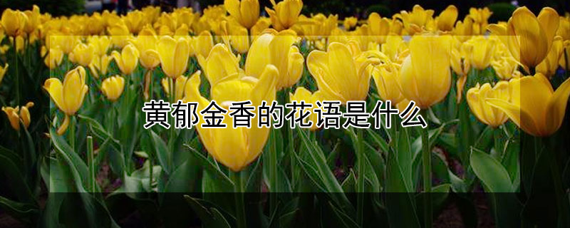 Ļʲô