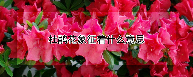 ž黨ʲô˼ž黨ЩԢ⣿