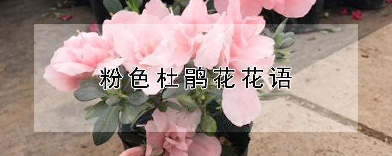 ɫž黨ɫž黨ʲôԢ⣩