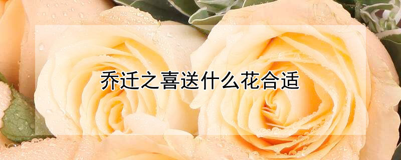 Ǩ֮ϲʲôʣʲô˼