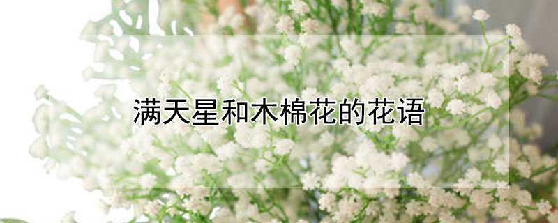 Ǻľ޻ĻǺľ޻Ԣ