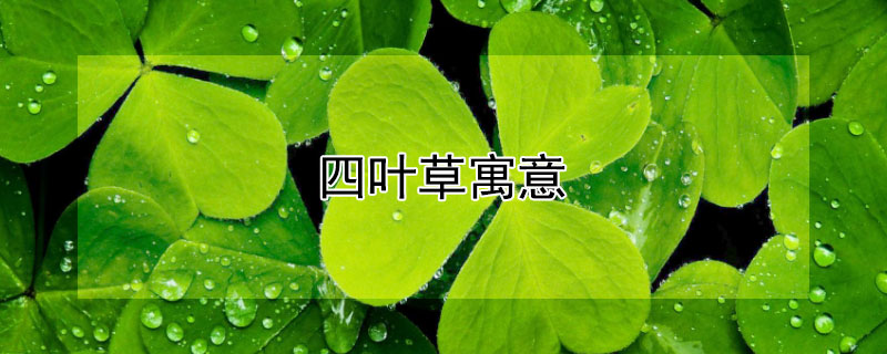 ҶԢʲôҶЩ壿
