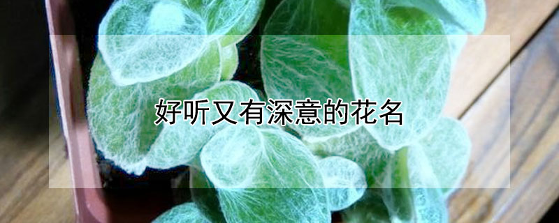 ĻĻЩ