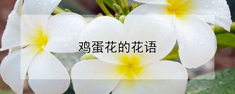 ĻԢʲô